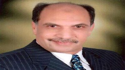 إسماعيل علي: نطالب بتوفير الدعم القانوني للجاليات المصرية في الخارج