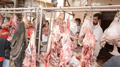 ضبط أربعة أطنان لحوم فاسدة بالغربية