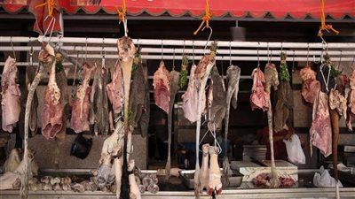 استقبال 95 ألف و575 طن رءوس ماشية حية استعدادًا لعيد الأضحى