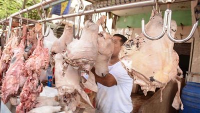 توزيع الأضحية.. الإفتاء توضح كيفية تقسيم لحومها وآداب الذبح