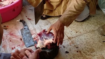 بالصور.. المواطنون يواصلون ذبح الأضاحي في أول أيام العيد