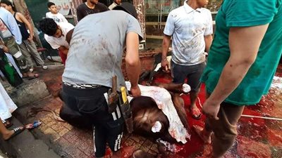 بـ150 أضحية.. مجزر البساتين يوفر إمكانيات الذبح للأهالي بالمجان