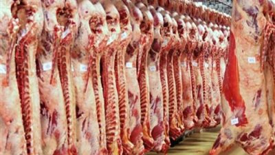 الخدمات البيطرية: المجازر الرسمية شهدت ذبح 3715 أضحية مجانًا