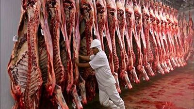 قبل عيد الأضحى.. ضبط لحوم فاسدة في القاهرة والغربية والبحر الأحمر