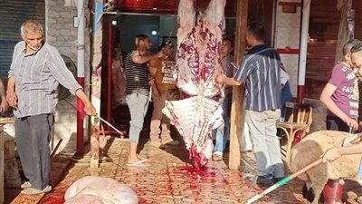 ضبط 542 كيلو جرام منتجات لحوم ودواجن فاسدة بالقليوبية