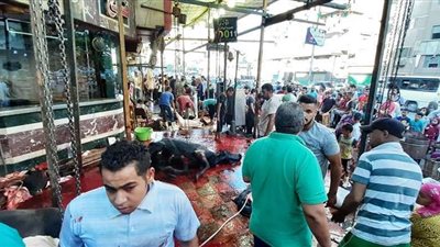 الزراعة: ذبح 11 ألف أضحية مجانا في العيد