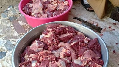 غدًا.. الأوقاف تبدأ توزيع لحوم الأضاحي