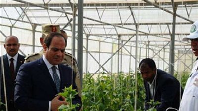 بقيادة الرئيس.. 