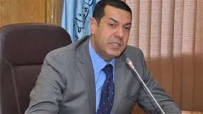 «محافظ أسيوط»: انتظام سير العملية الانتخابية