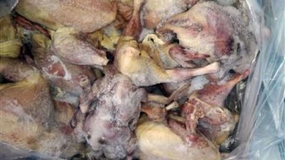 تموين القليوبية ينقذ أهالي بنها من طن و400 كيلو فراخ فاسدة