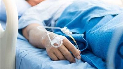 مرض قاتل يدمر خلايا النحل في ويلز