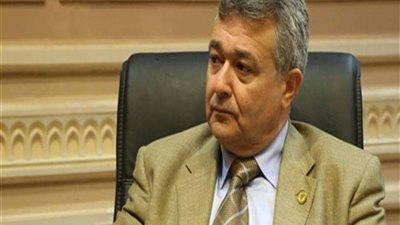 عمرو صدقي: تشعب القوانين صعب من إقرار 