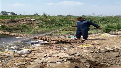 صحة الشرقية: نشاط مكثف لمكافحة الأمراض المتوطنة بالمحافظة