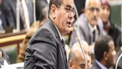 المشد: تحويل مستشفى كفرداود إلى مركزى أمر ضرورى