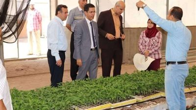 زراعة بنها تستعد للموسم الجديد لزراعة الصوب الزراعية