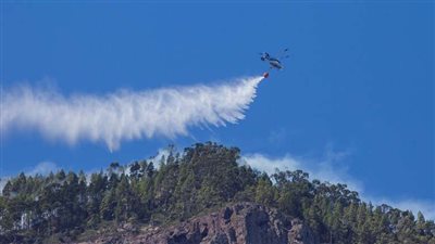 بعد الأمازون.. جزر الكناري تحترق