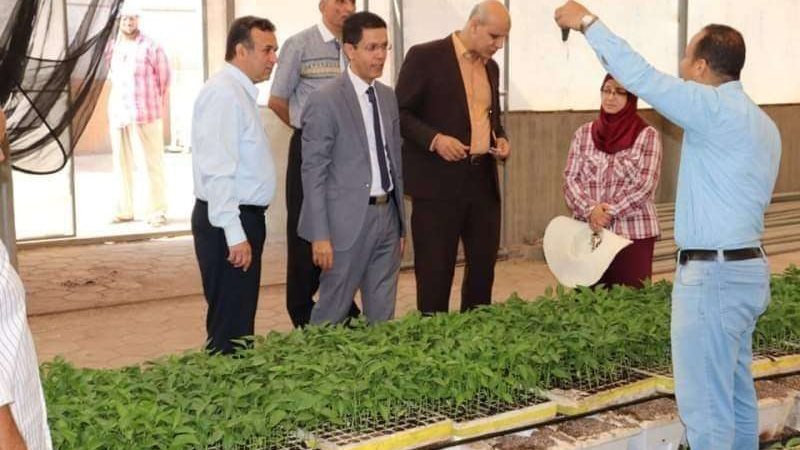 بلدنا اليوم