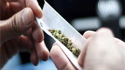 ضبط 44 كجم بانجو بحوزة 18 متهمًا في أسوان