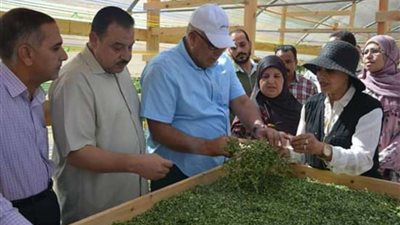محافظ الوادي الجديد يتفقد مشروع المورينجا بالخارجة