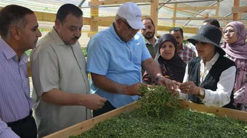 بلدنا اليوم