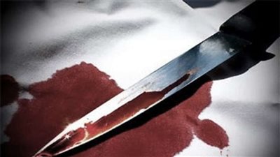 حبس 15 يوما لـ3 متهمين في قضية الشروع في قتل بالنهضة