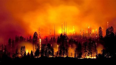 ذوبان جليد وخطر على الشواطئ.. كيف ستتأثر مصر باحتراق غابات الأمازون؟