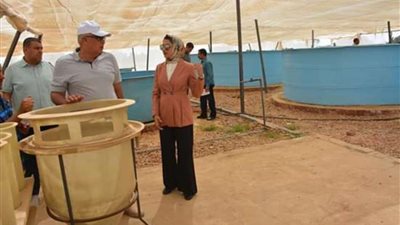 محافظ الوادي الجديد يتفقد مشروع بطاريات الأرانب بقرى الشركة 55