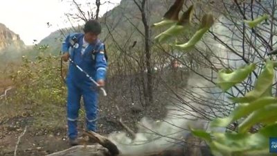 شاهد.. الرئيس البوليفي ينضم لرجال الإطفاء لإخماد حرائق الغابات