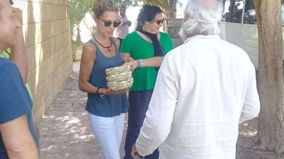 آثار تل العمارنة بالمنيا تستقبل وفدًا سياحيًا متعدد الجنسيات