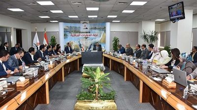 معلومات الوزراء يستقبل تنسيقية شباب الأحزاب والسياسيين (صور)