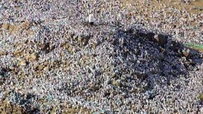 أستاذ بالأزهر: الجلوس داخل المخيمات يوم عرفة لا يبطل الحج