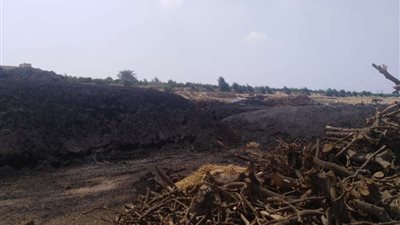 البيئة تنفذ حملة تفتيشية على مكامير الفحم غير المطورة بالجيزة