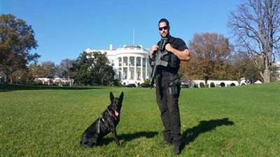 بريطانيا تكرم 