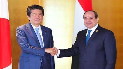 وزير الخارجية: زيارة الرئيس السيسي لليابان فتحت مجالات تعاون جديدة