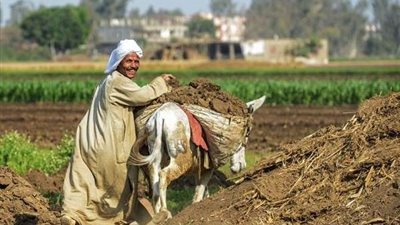 قبل عيدهم.. كارت الفلاح الذكي يقضي على مشاكل الدعم