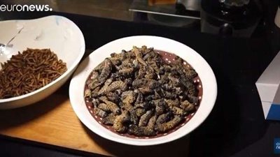 شاهد.. أطباق حشرات في أول مطعم من نوعه بجنوب إفريقيا