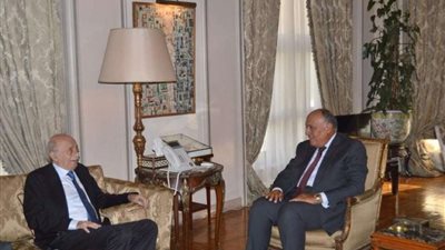 سامح شكري يناقش مع 