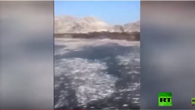 شاهد.. سهولة صيد الأسماك في خليج عُمان