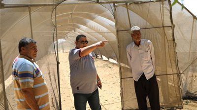 صوب زراعية جديدة بالخارجة الزراعية في الوادي الجديد