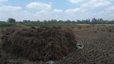 البيئة: تطوير منظومة تقييم التأثير البيئى ضرورة لمواكبة عمليات التنمية