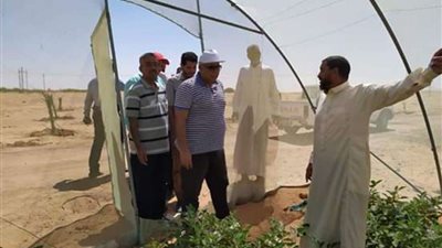 محافظ الوادي الجديد يتفقد مشروع الصوب الزراعية بالداخلة