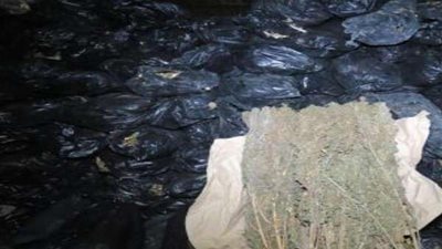 تحرير 1250 مخالفة مرورية وتنفيذ 3600 حكم قضائى بكفر الشيخ