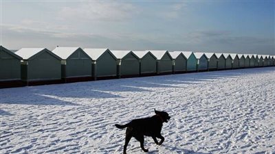 كارثة في انتظار بريطانيا.. والعلماء يحذرون