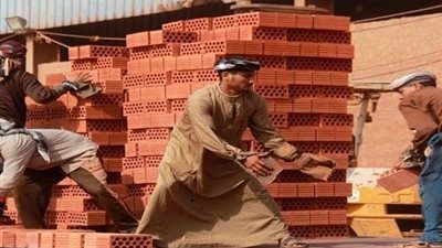 مصطفى عيادة: توفير تأمين اجتماعي وصحي للعمالة الموسمية بالمشاريع القومية