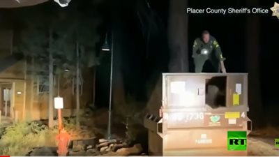 شاهد.. ماذا خرج من صندوق للقمامة في كاليفورنيا (فيديو)