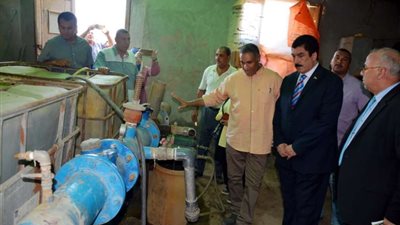 محافظ القليوبية يتفقد مزارع المانجو والنخيل بالقناطر الخيرية