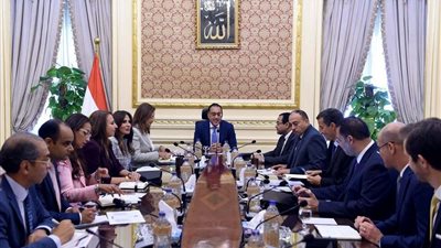 رئيس الوزراء يتابع إجراءات إعادة هيكلة الوزارات والمصالح الحكومية (صور)