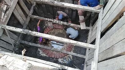 النويشى: إنهاء تنفيذ بيارتين من أصل 4 بتكلفة مليون و300 ألف جنيه بـ