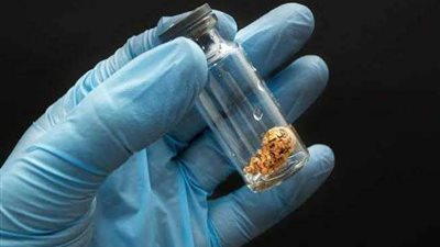 طبيب: عملية تجميد البويضات لا تؤثر على  نجاح الحمل  مستقبلاً