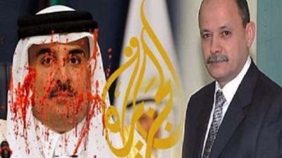 عبد الناصر سلامة.. إذا لم تستح فدافع عن الجزيرة ومحمد علي